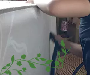 jasa basmi bed bugs bali clean services