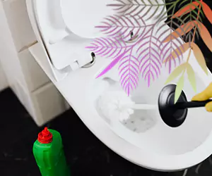jasa toilet deep clening di Bali